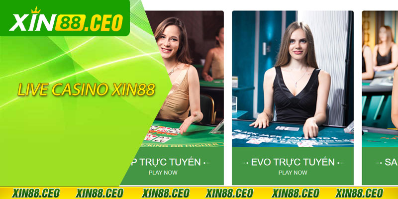 live casino xin88